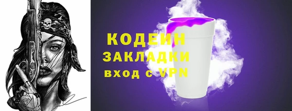 амф Елизово
