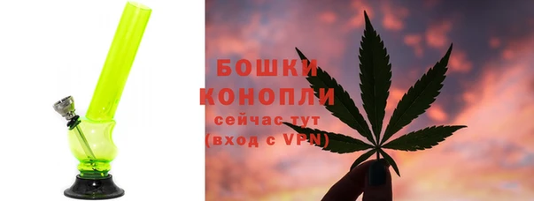 мескалин Ельня