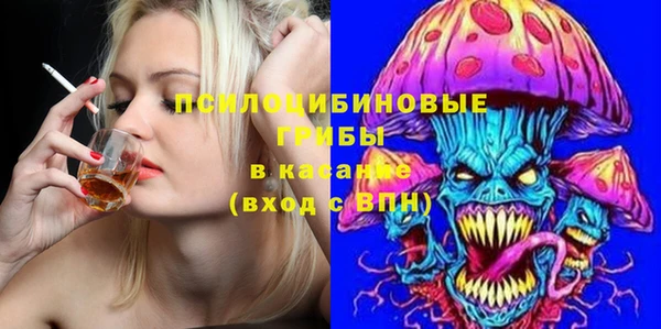 мескалин Ельня