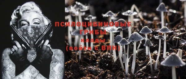 мескалин Ельня