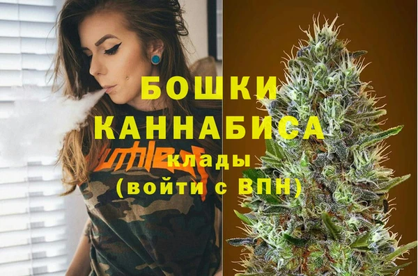 амф Елизово