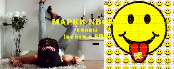 амф Елизово