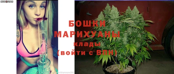 мескалин Ельня